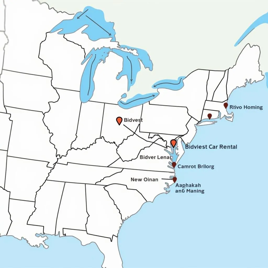 Bidvest Car Rental Locations across the USA