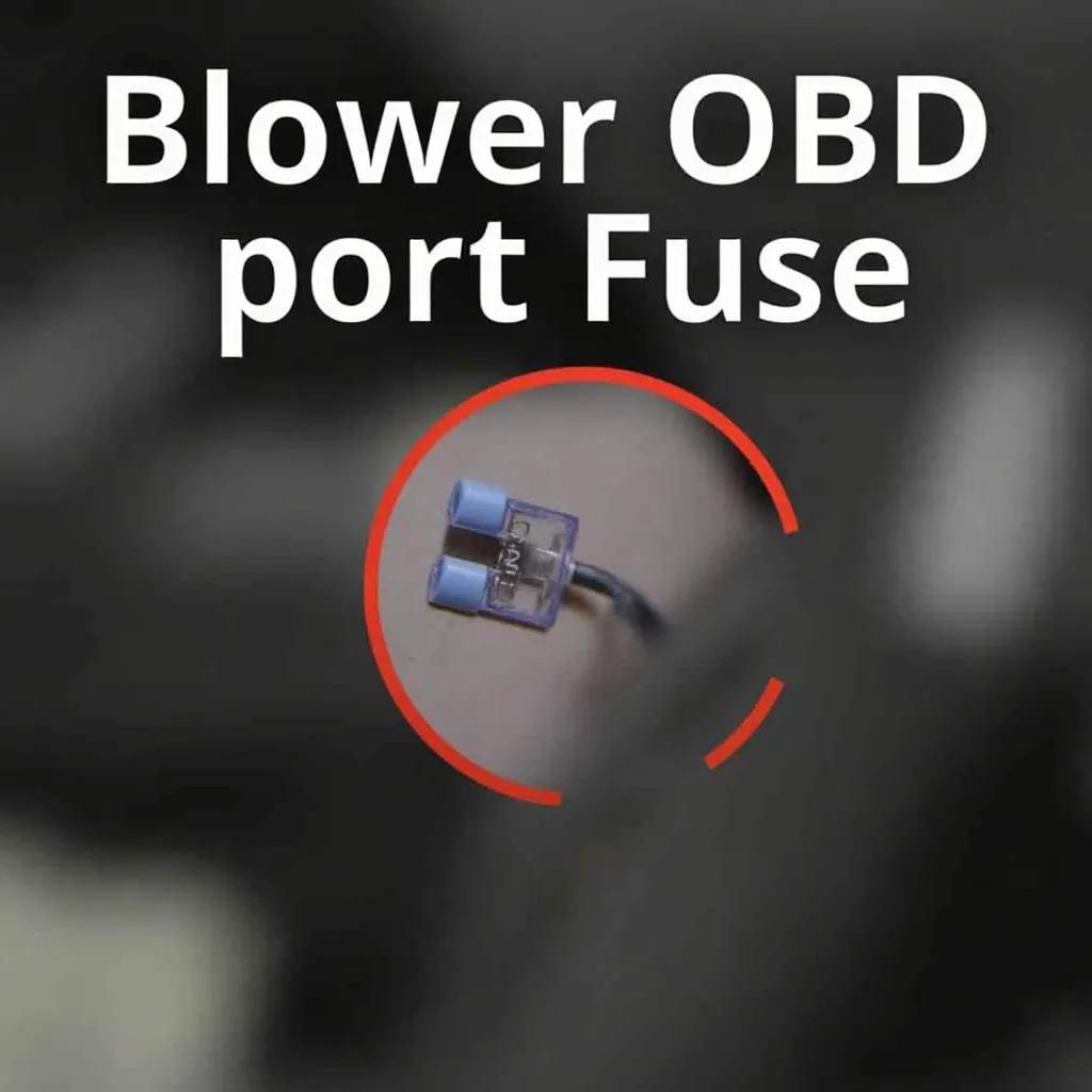 Image of a blown OBD port fuse