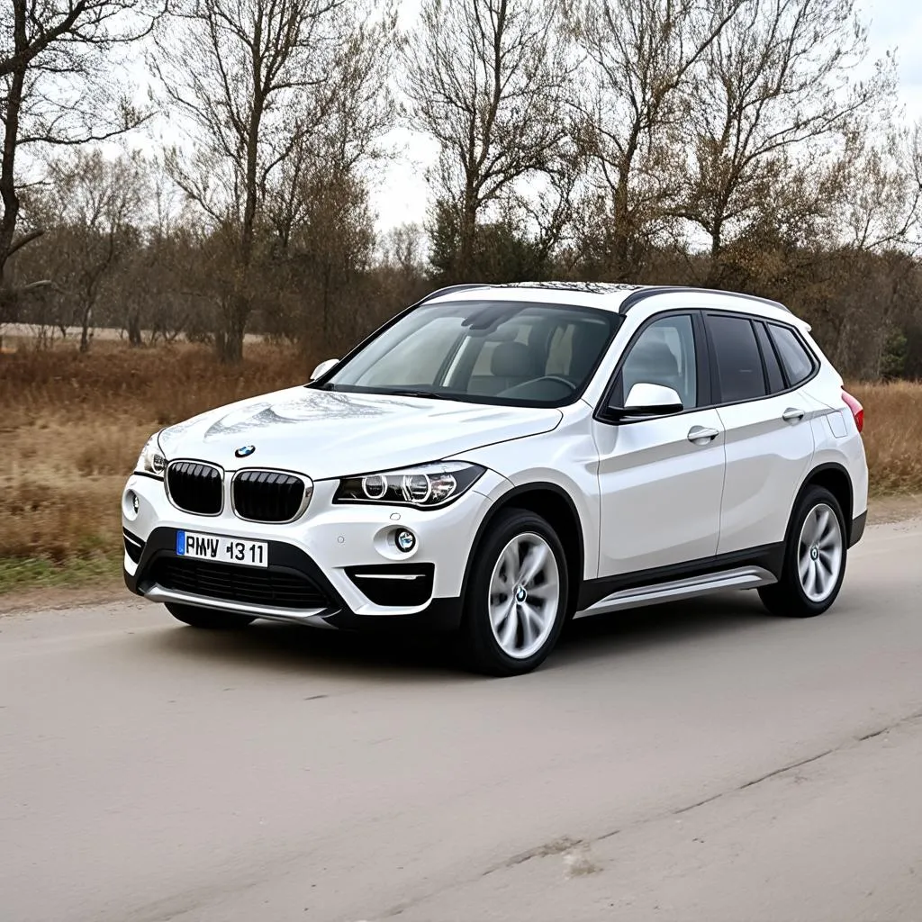 BMW E84 Series X1