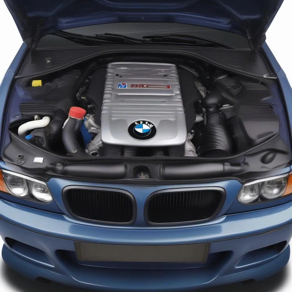 BMW E46 M3 Engine