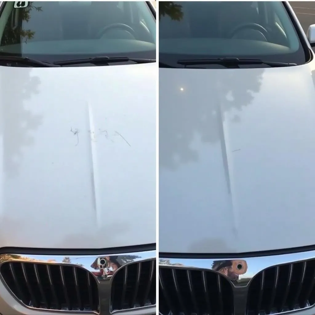 Car hood before and after using a hood protector