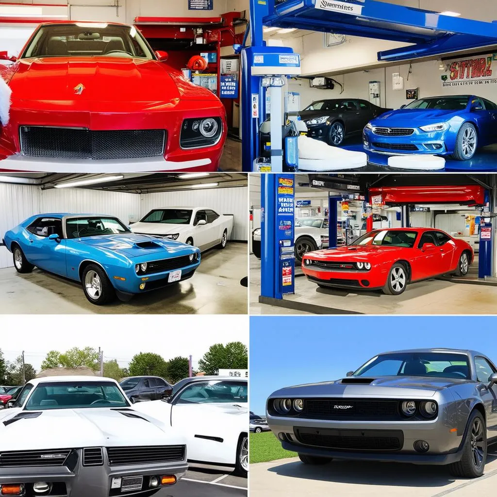 Car Wash Options in Sterling Heights