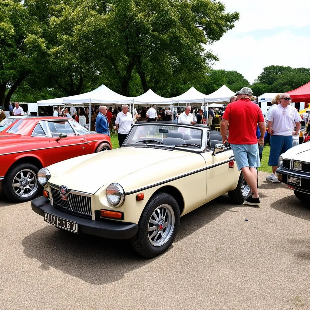 Classic MG car show