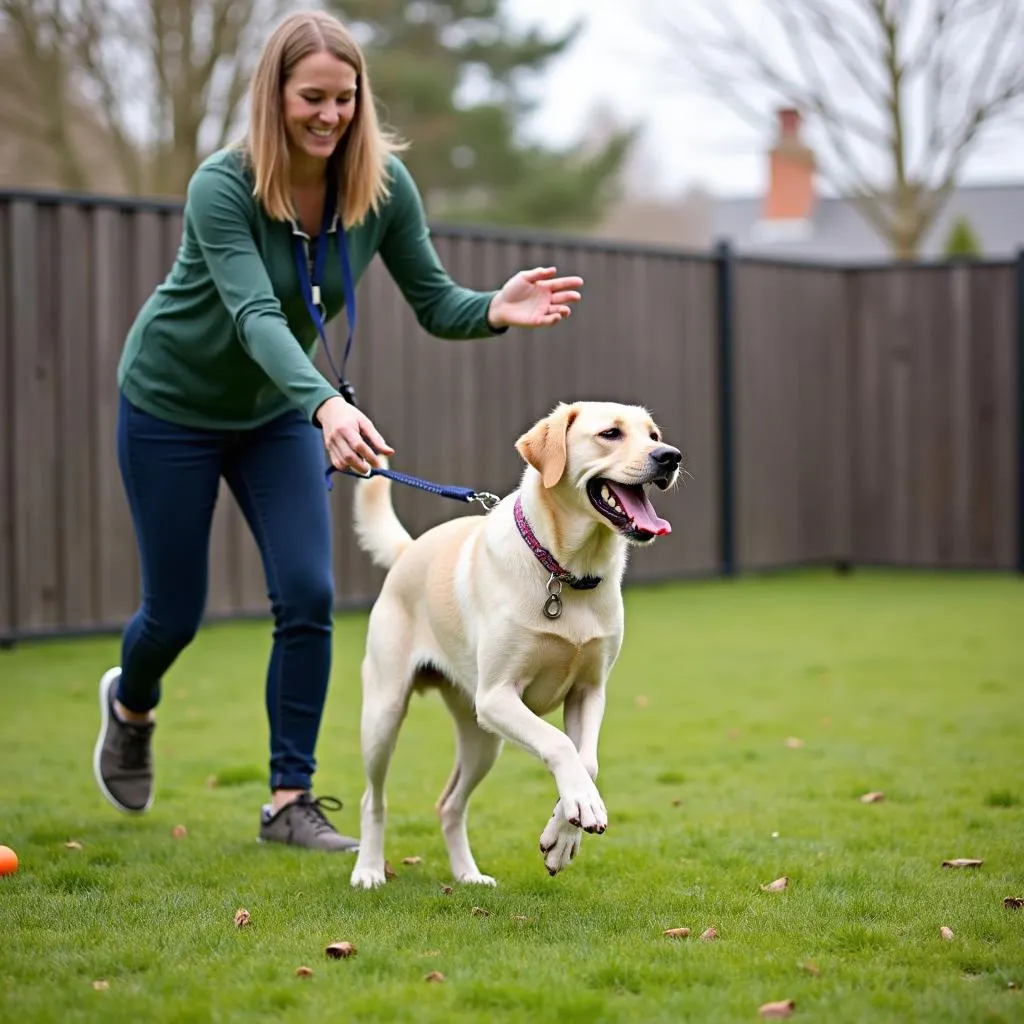 Dog Playing Fetch at Daycare Facility