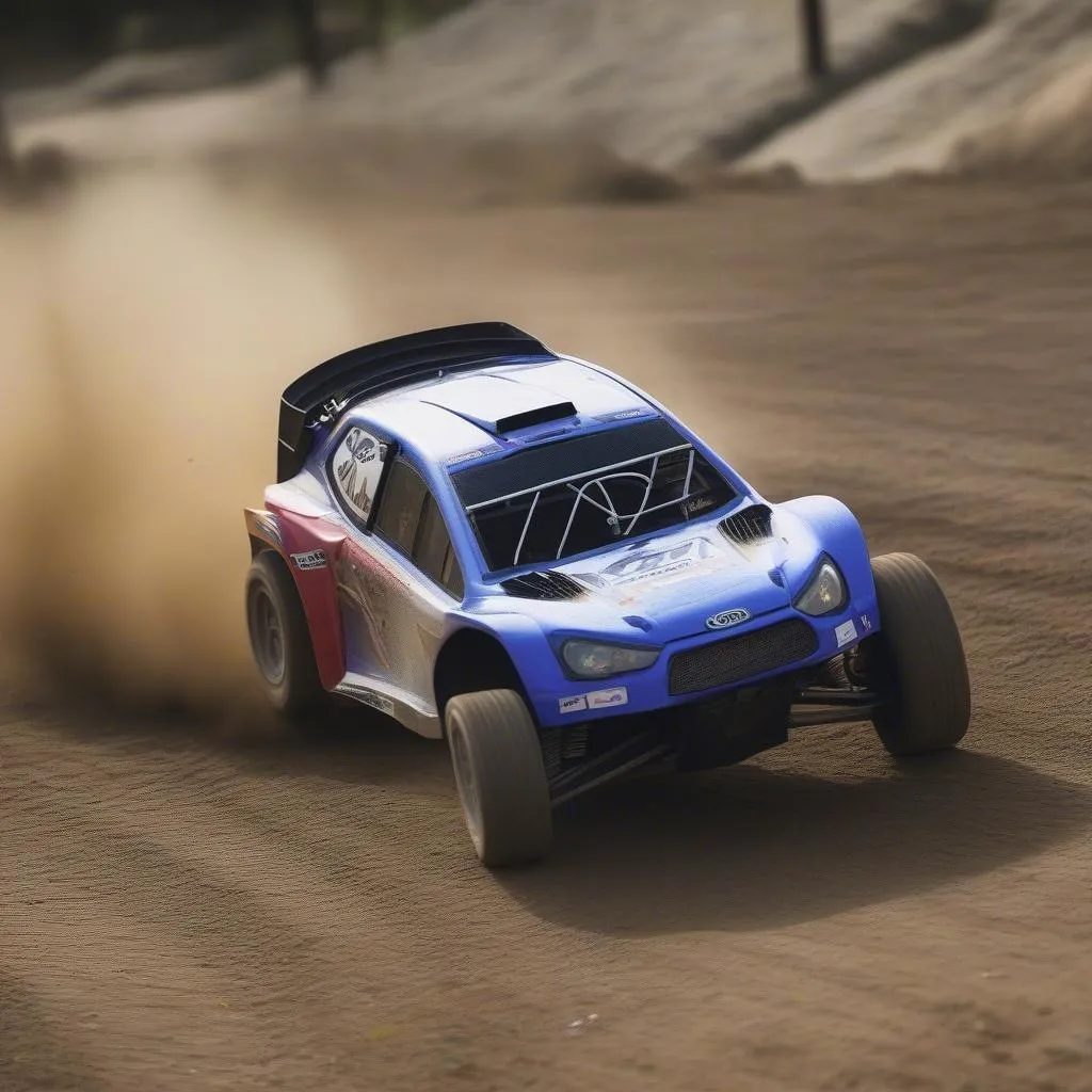 Losi Rally Car racing