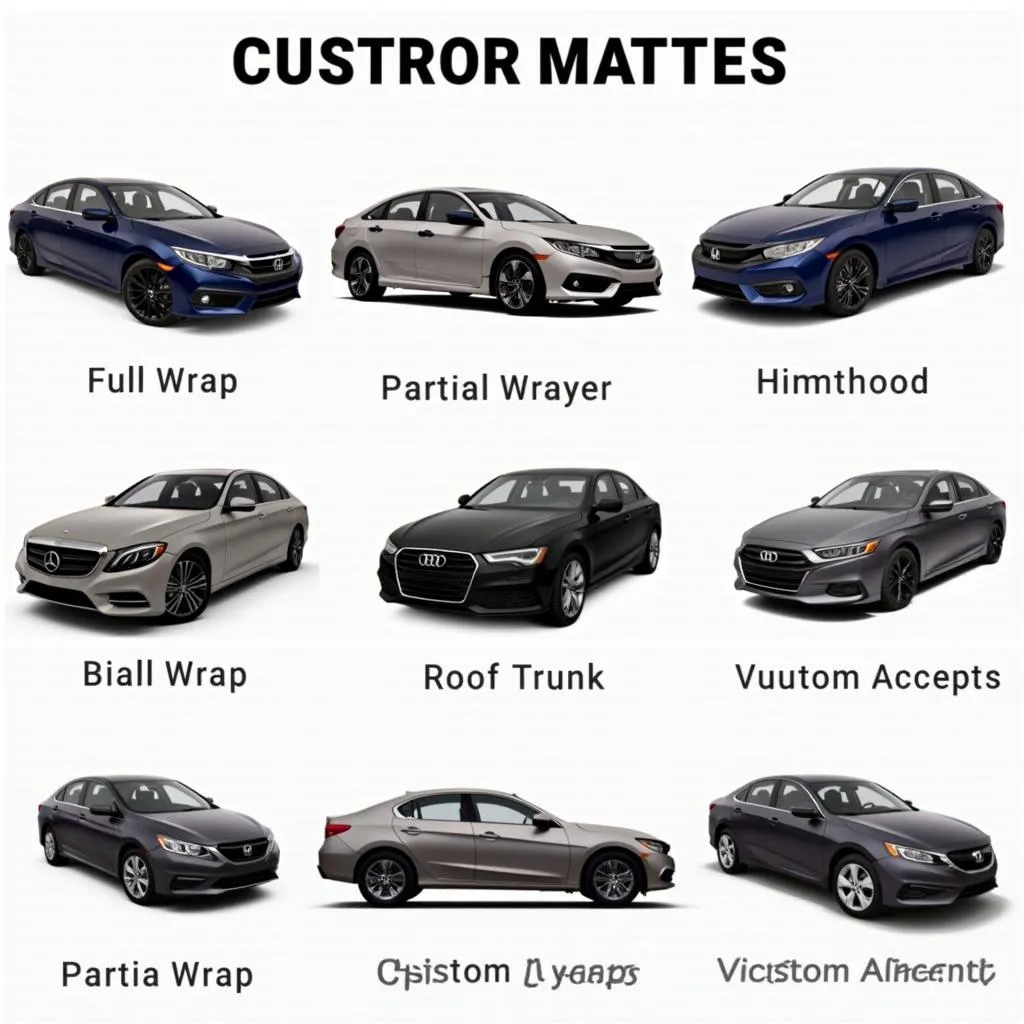 Matte Car Wrap Types