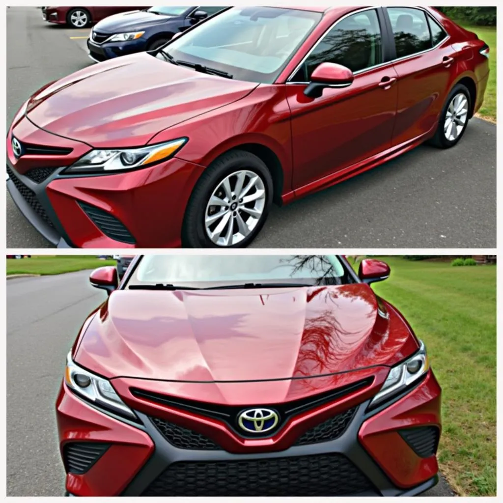 Mobile Car Detailing Hendersonville TN Before & After