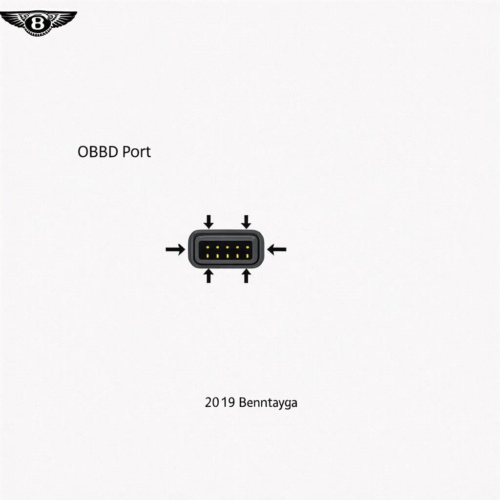 OBD Port Diagram