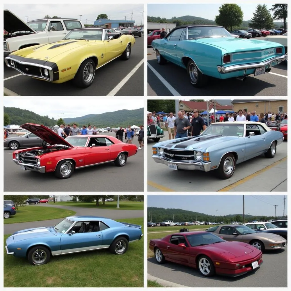 Diverse Range of Vehicles on Display at the Shenandoah Valley Auto Show