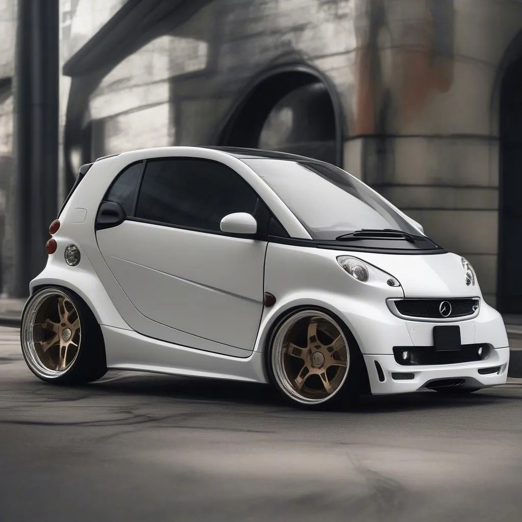 Custom Smart Car Wide Body Kit