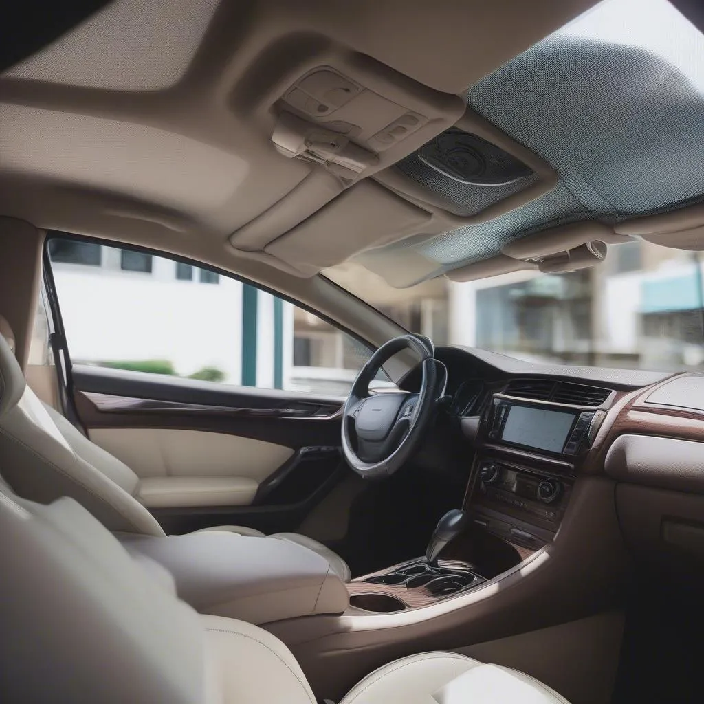 Sun Shade for Car Interior