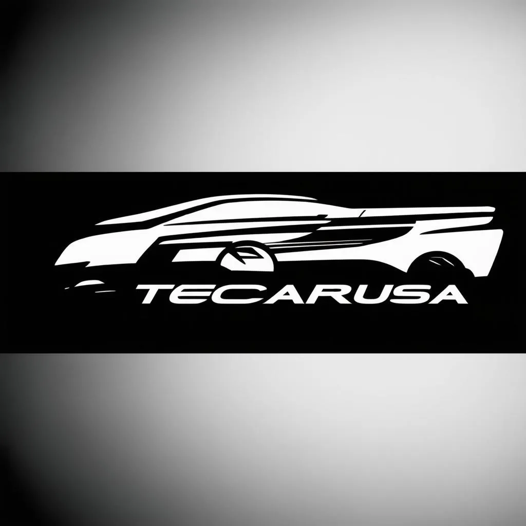 Techcarusa Logo