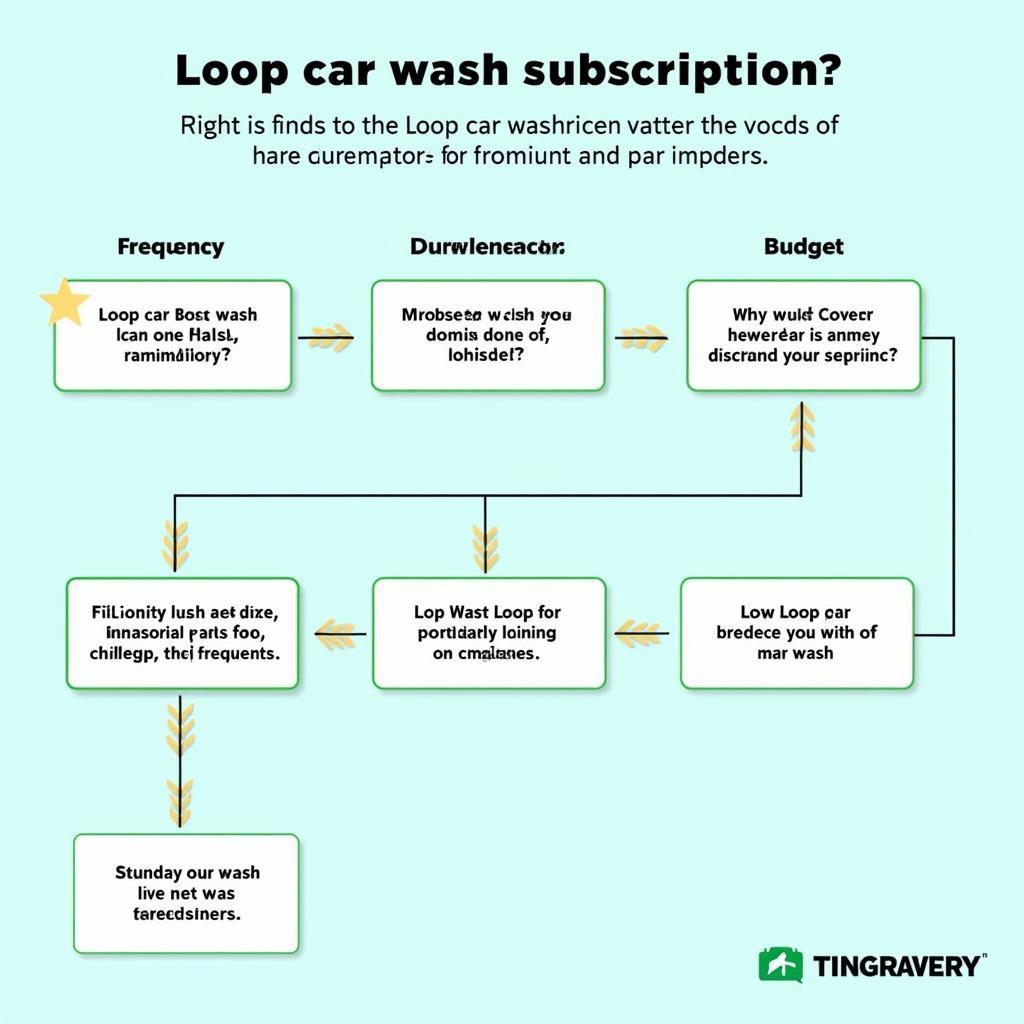 Decision Flowchart for Loop Car Wash Subscriptions