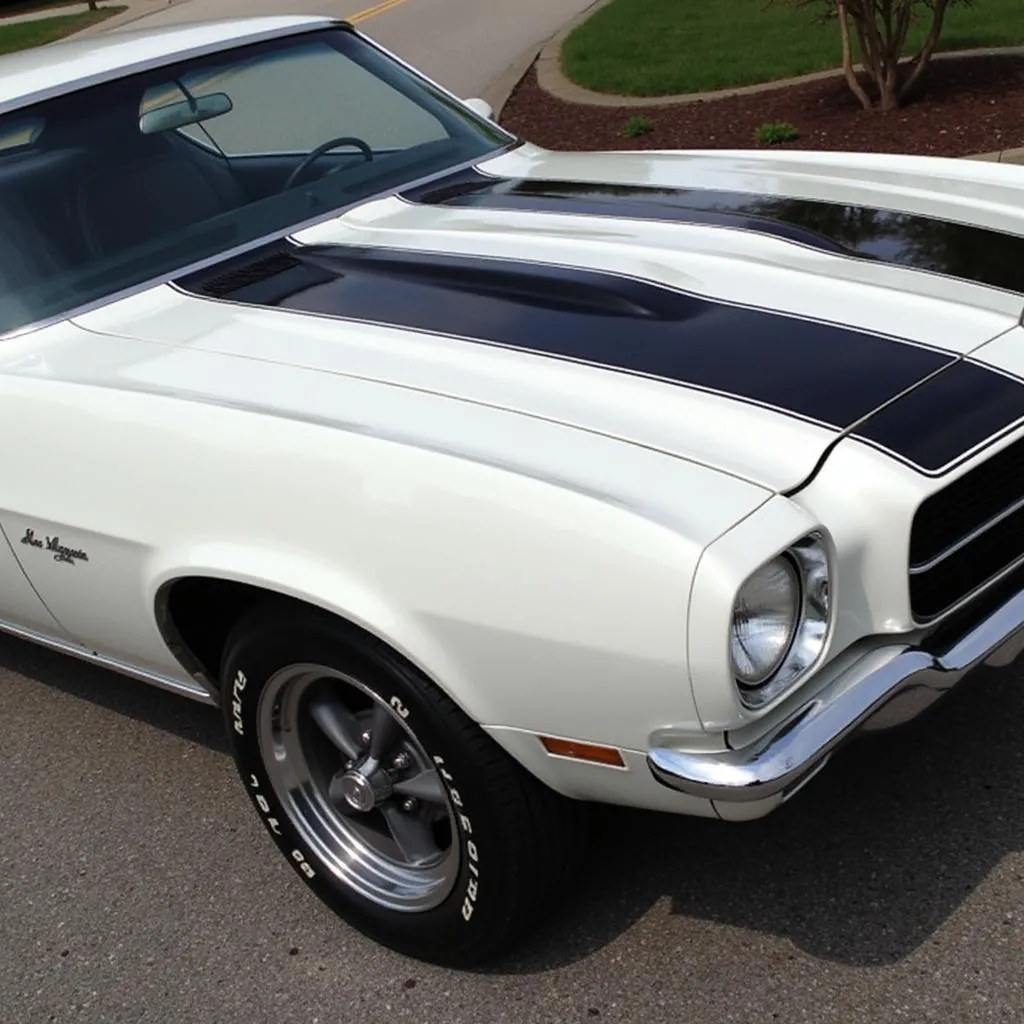 Classic Muscle Car with Black Stripes