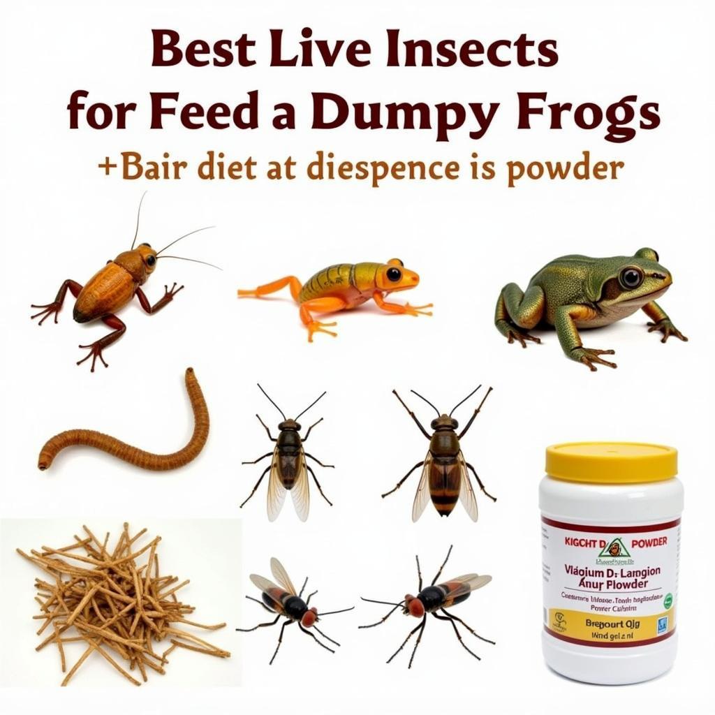 Dumpy frog feeding guide