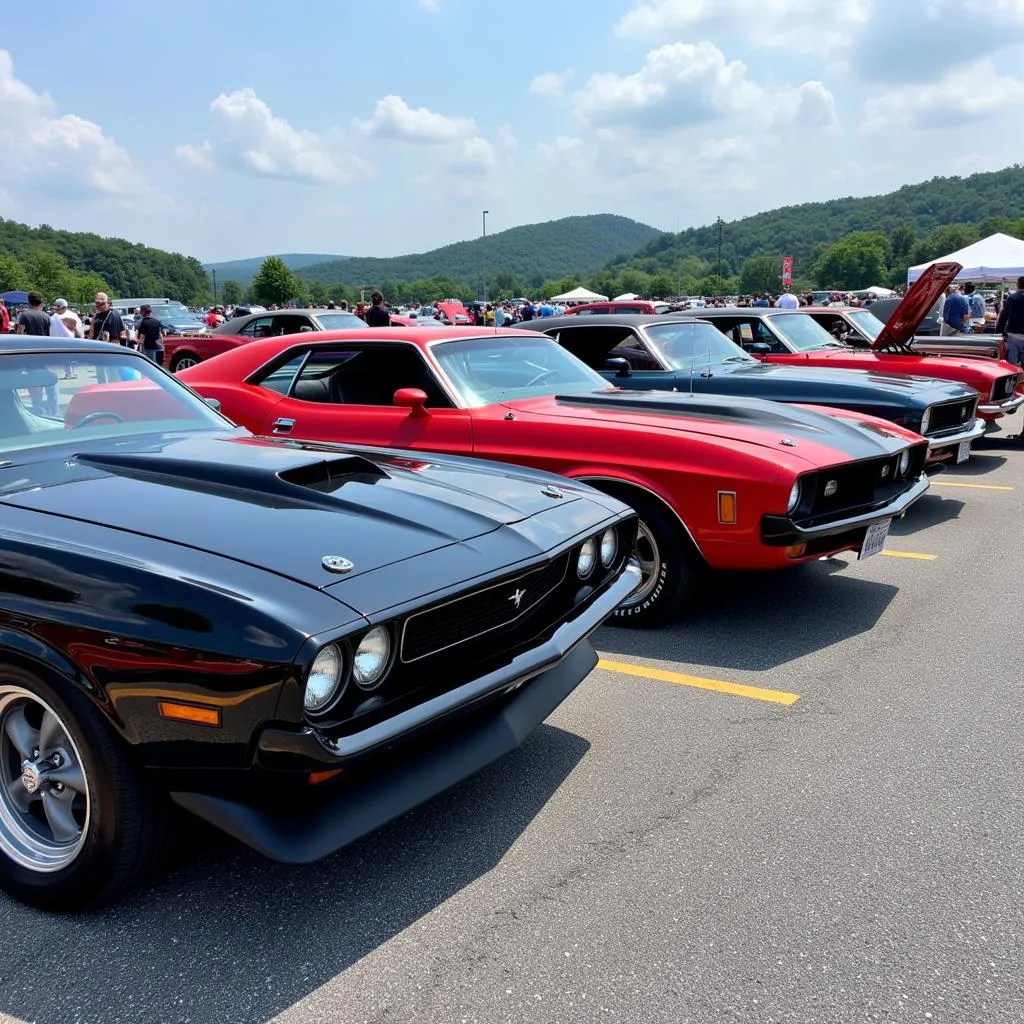 Muscle car show in Martinsburg, WV with a line of classic American muscle cars.