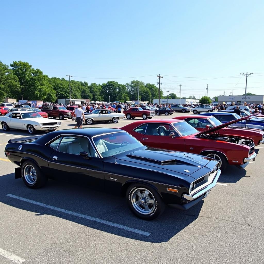 Muscle car show in Tennessee