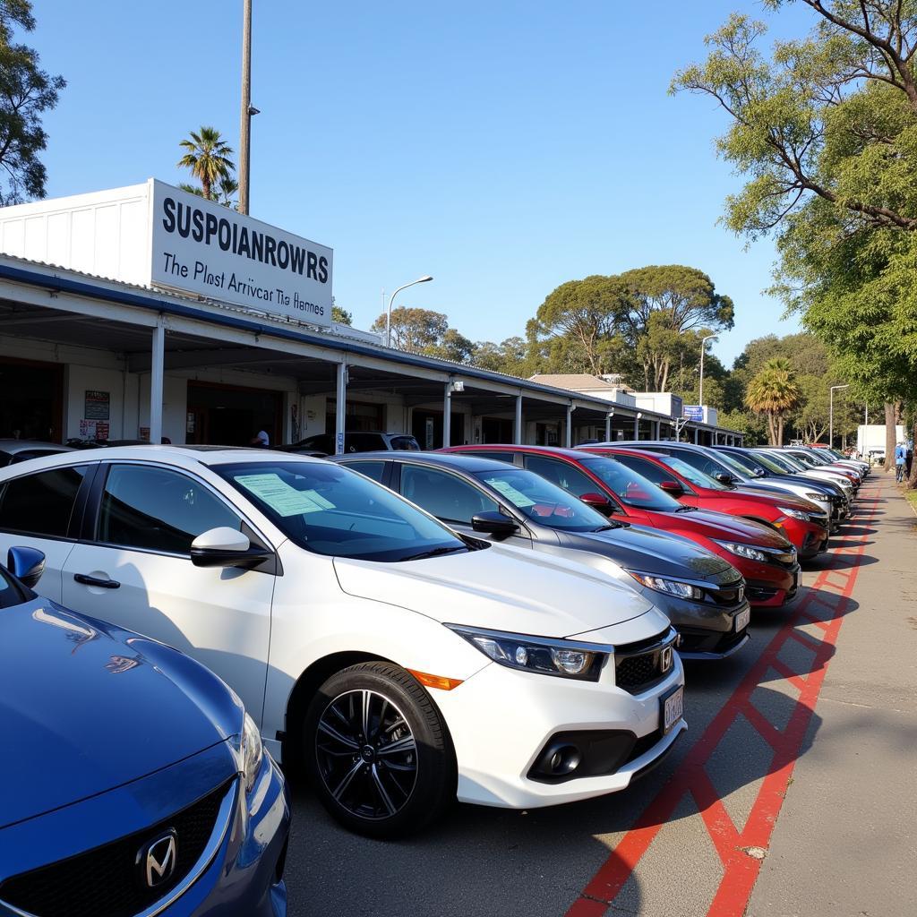 Used car market in Sunshine Coast